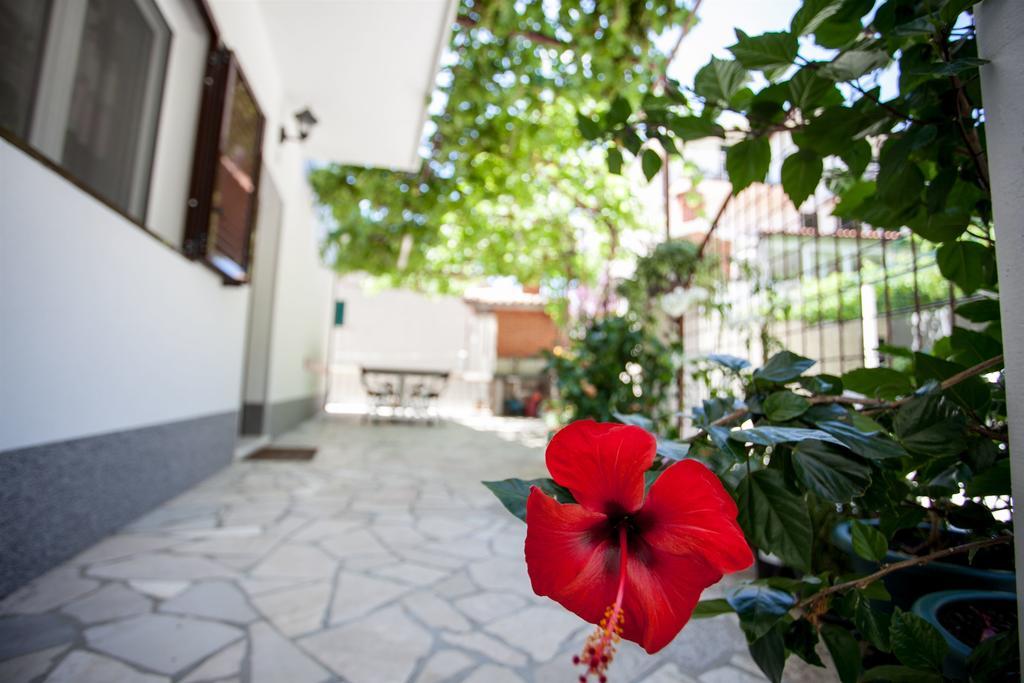 Apartments Mladen Duće Dış mekan fotoğraf